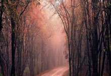 球队主力回归，士气高涨备战接下来比赛