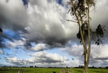 马尔基特继续出战，斯帕尔缄默不语