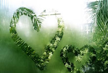 匈牙利备战做足功课希望取得好成绩