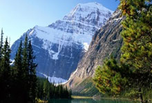 巴勒莫客场失利，保级之路漫漫