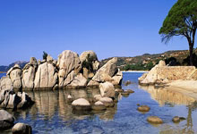 利沃诺主场惨败，保级形势日益严峻